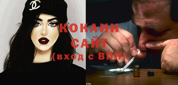 МДПВ Нея