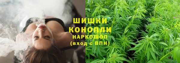 МДПВ Нея
