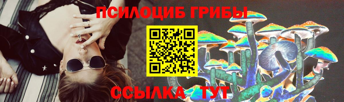 купить закладку  Вход с VPN  Балтийск  Псилоцибиновые грибы Cubensis  Галлюциногенные грибы мухоморы 