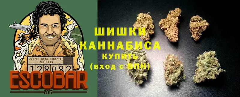 цены   Балтийск  Канабис SATIVA & INDICA 